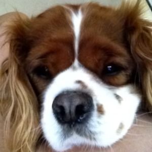 Meet your Posher, Jeannie